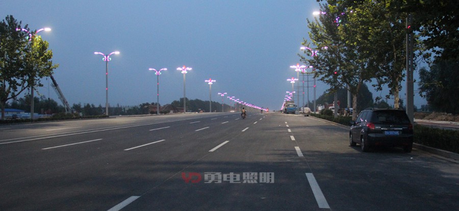 聊城长江路路灯亮化-杭州勇电照明有限公司